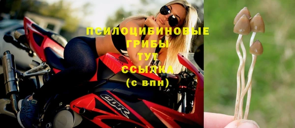 ешки Володарск