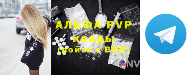 PSILOCYBIN Волосово