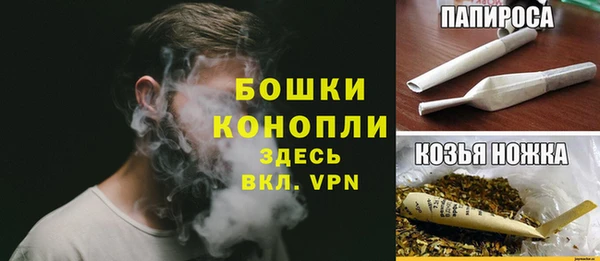 PSILOCYBIN Волосово