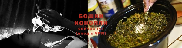 PSILOCYBIN Волосово