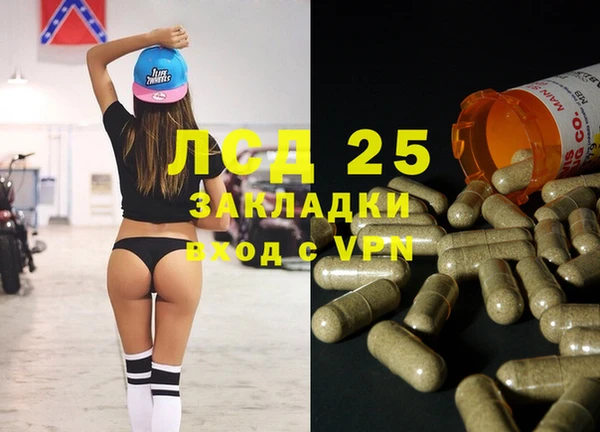 PSILOCYBIN Волосово
