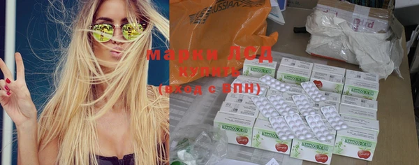 PSILOCYBIN Волосово