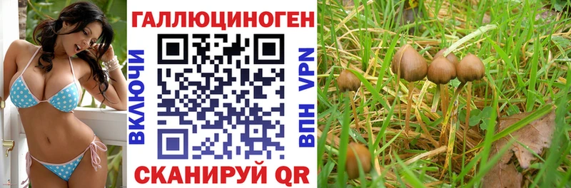кракен tor  Энгельс  Галлюциногенные грибы Psilocybine cubensis 